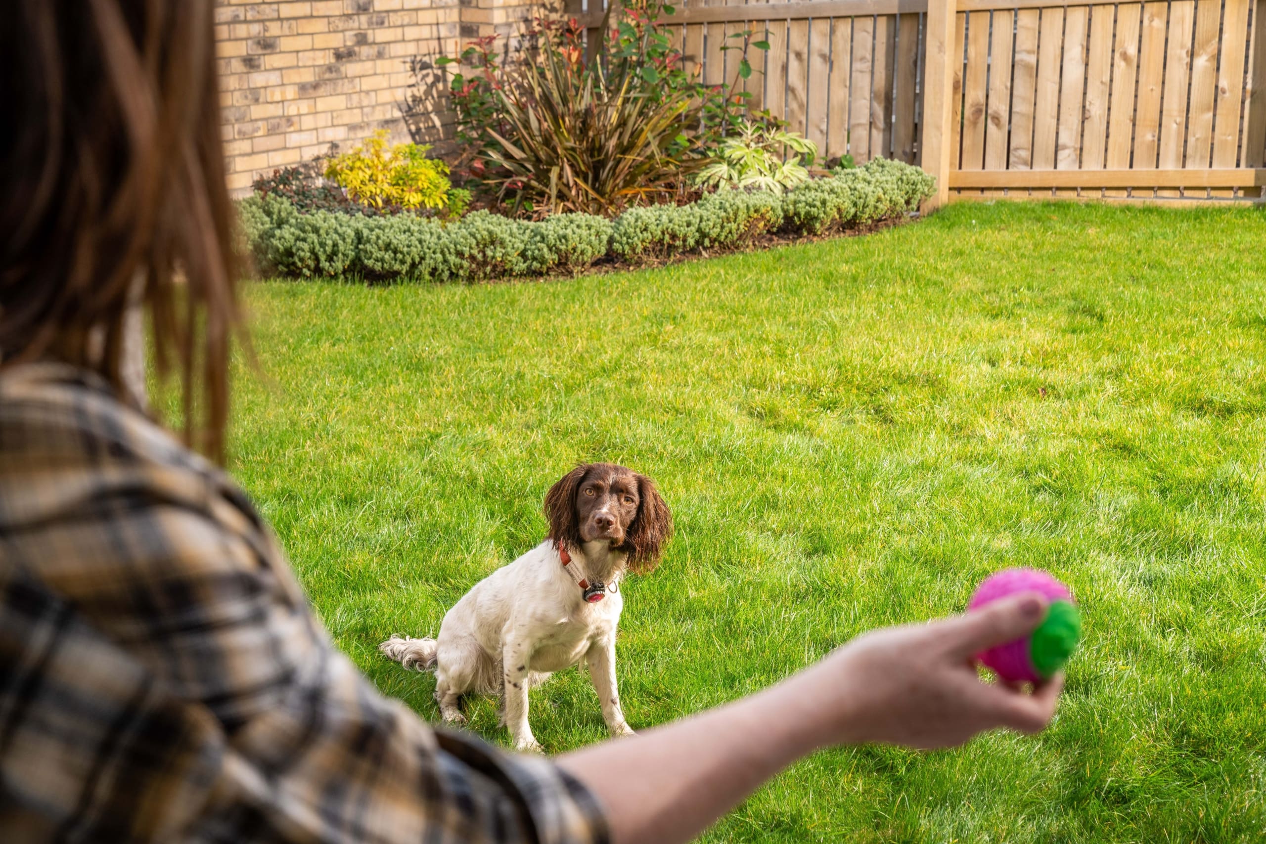 Three girls playing on the floor of a livingroom in a new home in the Borders